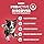 IAMS Proactive Health Dry Dog Food, Adult Dog Food Dry Recipe, Lamb & Rice, 30 lb. Bag