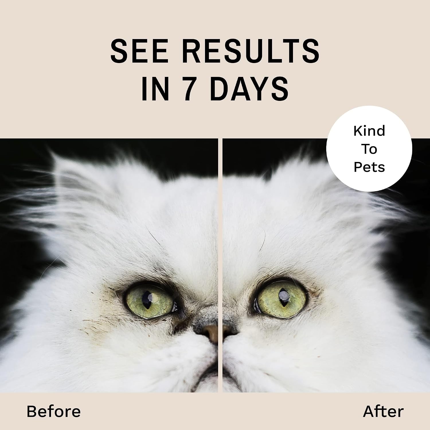 Eye Envy Tear Stain Wipes for Cats. Textured to Gently Clean Tear Stains. Natural Formula.