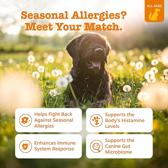 Zesty Paws Allergy Immune Bites - Dog Allergy Chews, Dog Probiotics for Itchy Skin and Ears, Lamb, 90ct
