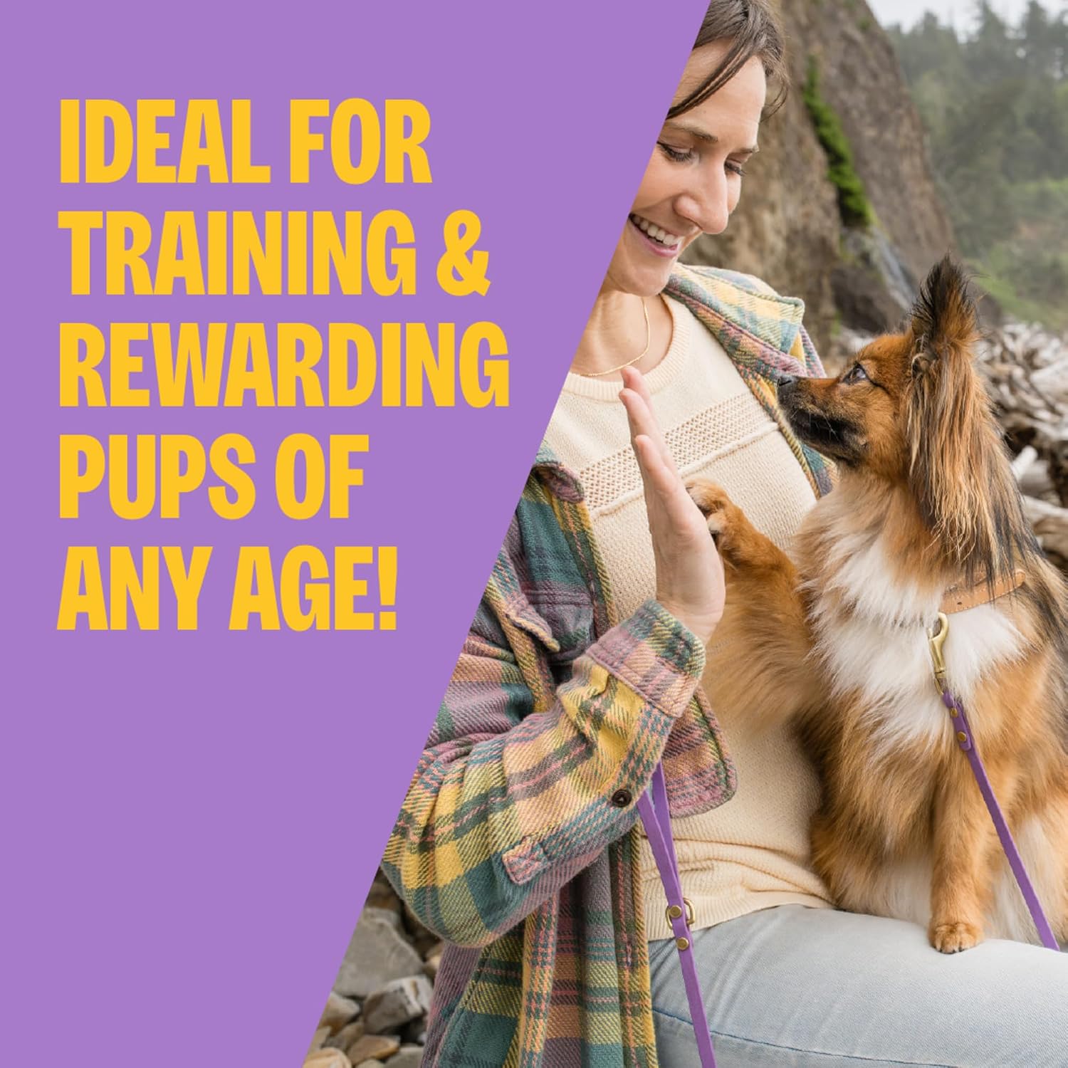 Wellness Soft Puppy Bites Dog Training, 8 oz Bag