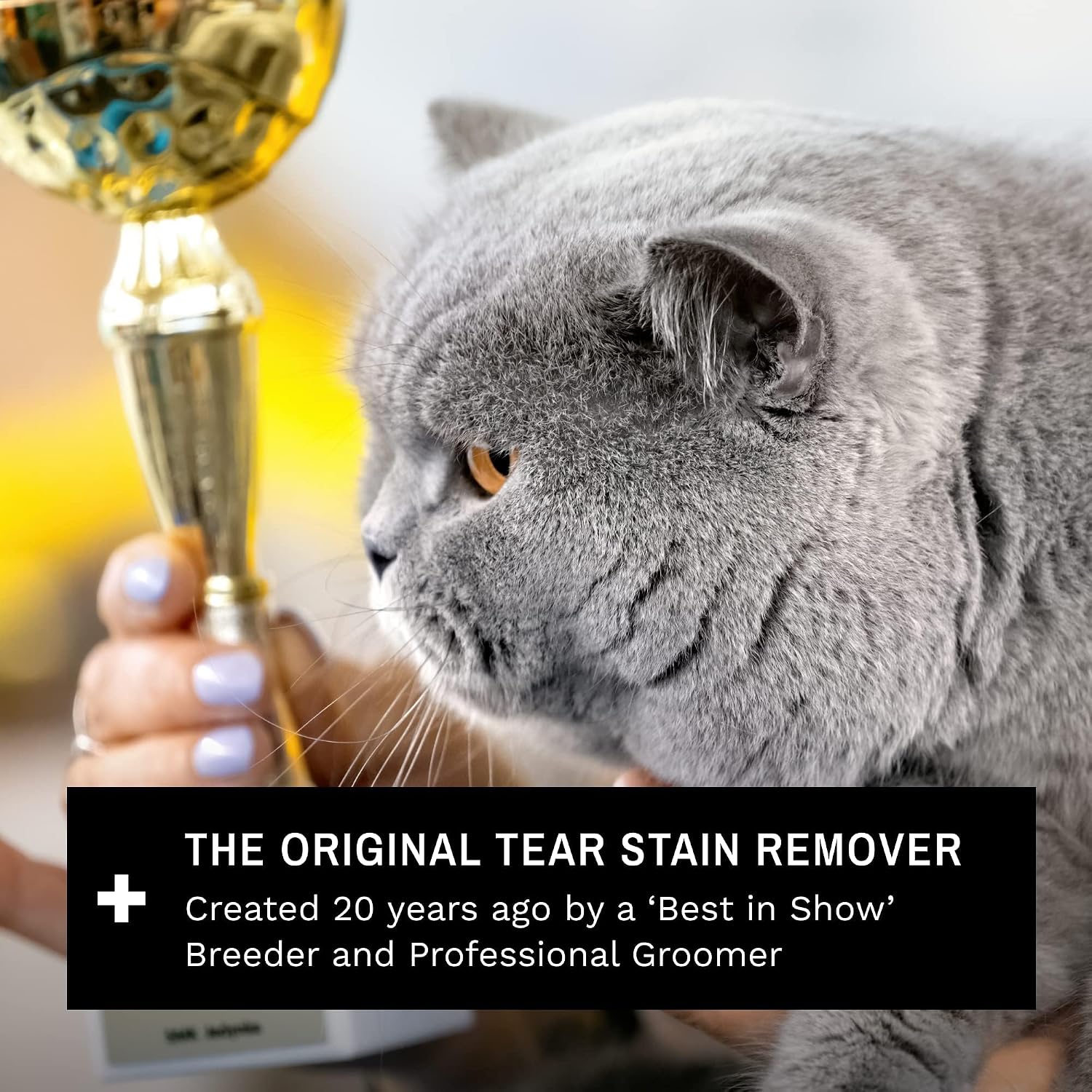 Eye Envy Tear Stain Wipes for Cats. Textured to Gently Clean Tear Stains. Natural Formula.