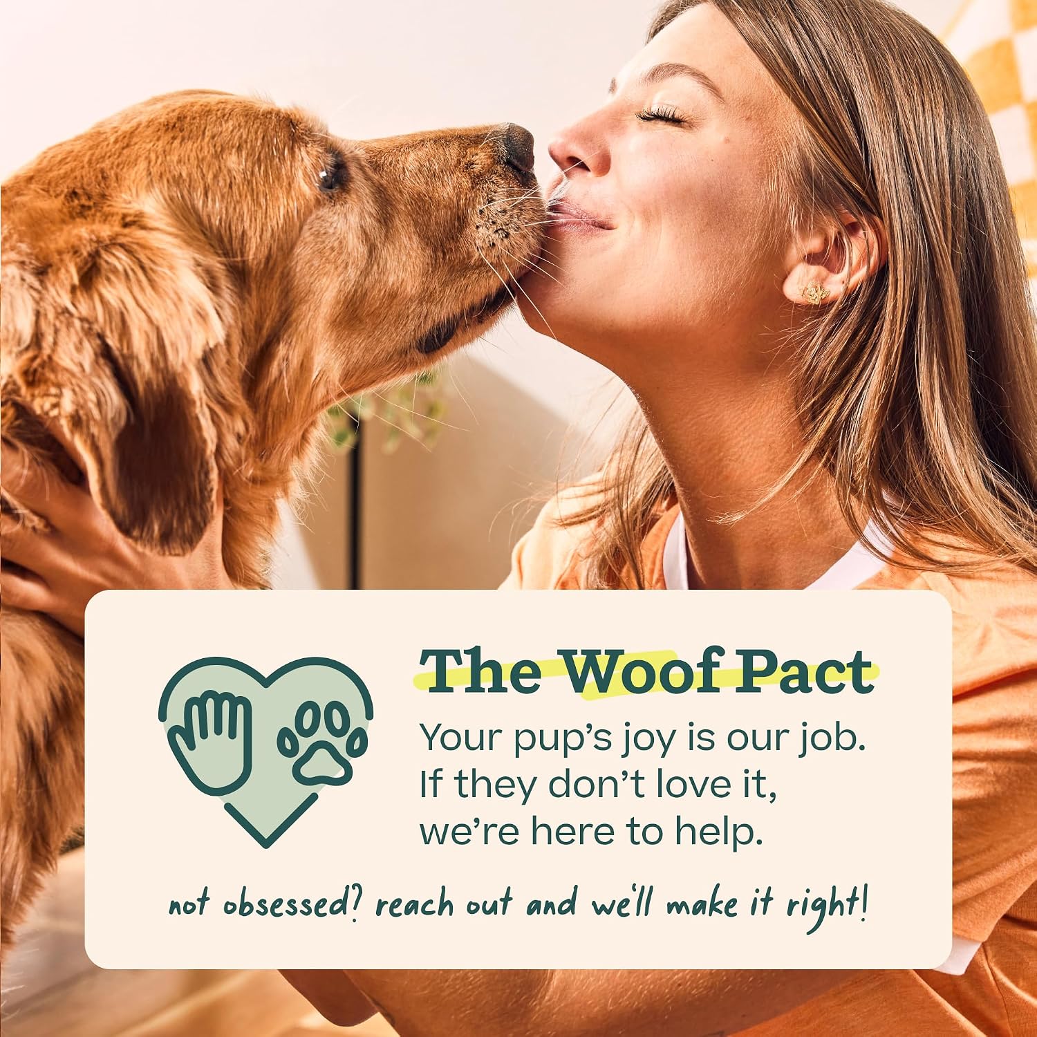 WOOF Starter Pack Dog Treat Toy for Large Dogs 25-75 lbs