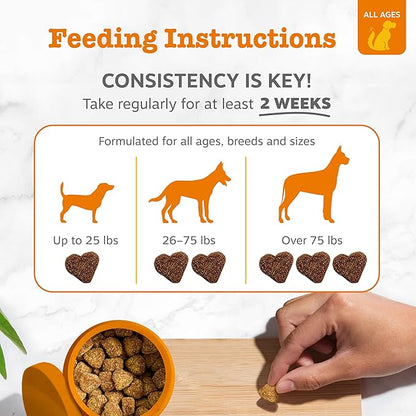 Zesty Paws Allergy Immune Bites - Dog Allergy Chews, Dog Probiotics for Itchy Skin and Ears, Lamb, 90ct